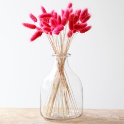 Lagurus Bunny Tails Grass in Bright Pink