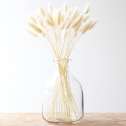 Lagurus Bunny Tails Grass in White