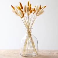 Lagurus Bunny Tails Grass in Natural, White and Mustard