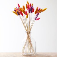 Lagurus Bunny Tails Grass in Pink, Purple and Mustard