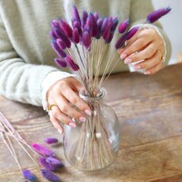 Lagurus Bunny Tails Grass in Purple