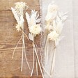 Set of Four Lisa Angel White Dried Flower Place Settings