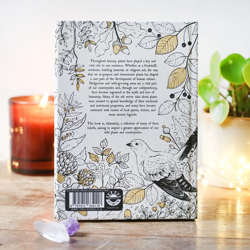 Back of Folk Magic and Healing: An Unusual History of Everyday Plants