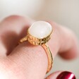 Model Wearing Adjustable Rainbow Moonstone Ring in Gold