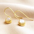 Moonstone Drop Earrings in Gold