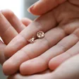 Mismatched Daisy and Bee Stud Earrings in Rose Gold Held in Between Fingers by Model