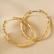 Textured Hoop Earrings in Gold on Beige Coloured Fabric