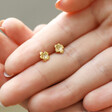 Model Holding February Violet Tiny Birth Flower Stud Earrings in Gold
