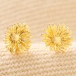 April Daisy Tiny Birth Flower Stud Earrings in Gold on Neutral Fabric
