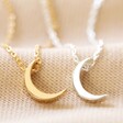 Close Up of Silver Crescent Moon Necklace With Gold Version