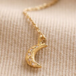 Close Up of Moon Charm on the Crystal Moon and Star Lariat Necklace in Gold