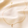 Gold Crescent Moon Necklace Full Length