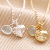 Heart and Moonstone Pendant Necklace in Gold with Other Colour Available in Silver