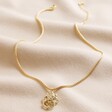 Lion Door Knocker Pendant Necklace in Gold Full Length