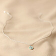 Full Length of Mint Green Crystal Enamel Necklace in Silver on Fabric