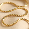 Rope Chain Necklace in Gold Against a Natural Coloured Fabric