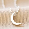 Close Up of Pendant on Silver Crescent Moon Necklace