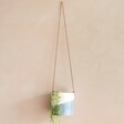 Burgon & Ball Dipped Indoor Hanging Planter in Blue Filled With House Plant Hanging From Neutral Wall