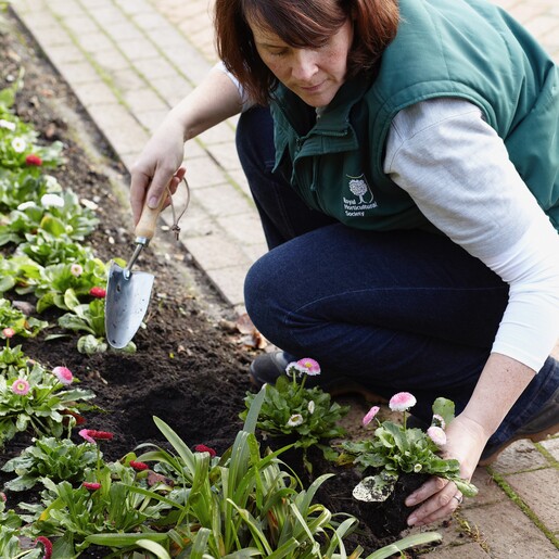 Model Using Burgon & Ball RHS Gardening Hand Trowel in Garden