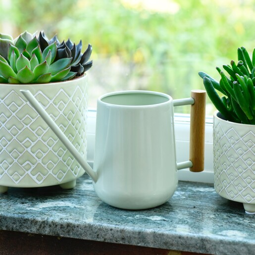 Burgon & Ball Pale Jade Indoor Watering Can Sitting on Counter In Between Plants