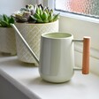 Burgon & Ball Pale Jade Indoor Watering Can on Shelf Next To Succulents in Plant Pots