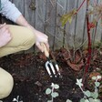 Model Gardening in Soil with Burgon & Ball RHS Gardening Hand Fork