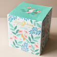 Box Packaging for the House of Disaster Secret Garden Fox Planter