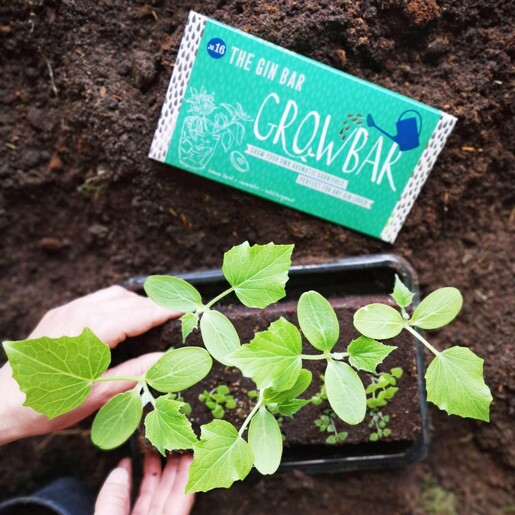 Plants Growing from The Gin Bar by Growbar