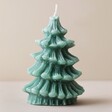 Paddywax Cypress & Fir Scented Soy Wax Tree Candle on Neutral Background