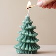 Model Lighting Paddywax Cypress & Fir Scented Soy Wax Tree Candle