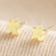 Tiny Star Stud Earrings in Gold on Neutral Fabric