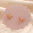 Tiny Bee Stud Earrings in Rose Gold on Pink Card