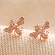 Tiny Bee Stud Earrings in Rose Gold on Neutral Fabric