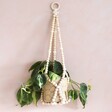 Wooden Beaded Planter Hanger Cradling Leafy Plant and Plant Pot