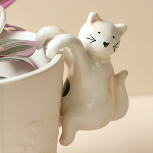 Close Up Shot of Ceramic Cat Planter Hanger on Plant Pot with Natural Coloured Background
