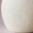 Close Up of Textured Surface on Rounded Neutral Ceramic Vase