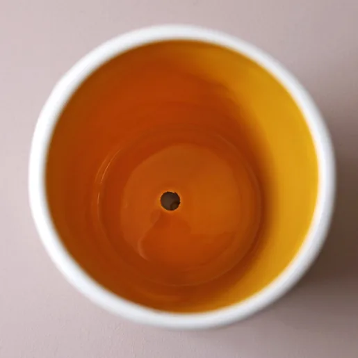 Aerial View of Small Bee Ceramic Planter and Tray