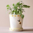 Small Bee Ceramic Planter and Tray Filled With House Plant
