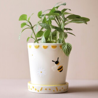 Small Bee Ceramic Planter and Tray