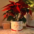 Small Ceramic Father Christmas Planter With Red Poinsettia Inside
