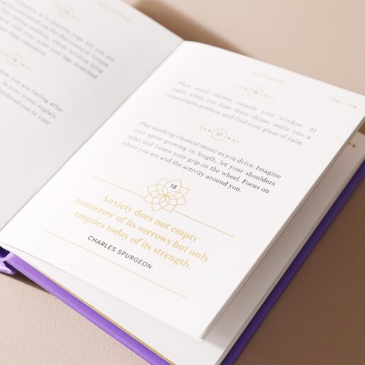 Inside Page Showing Quote from 365 Days of Mindful Meditations Book