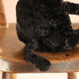 Close Up of Tail on Jellycat Amore Cat Black Small Soft Toy Sitting on Chair