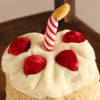 Close Up of Strawberries and Candle on Top of Jellycat Amuseable Birthday Cake Soft Toy