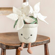 Jellycat Amuseable Gold Poinsettia Soft Toy Sat on a Wooden Chair with Neutral Background
