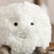 Close Up of Amuseable Snowball Soft Toy with Neutral Background