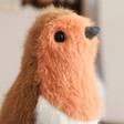 Close Up of Jellycat Birdling Robin Soft Toy