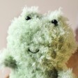 Close Up of Jellycat Little Frog Soft Toy
