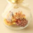 Close Up of Dried Flower Filled Glass Candlestick Holder in Gold