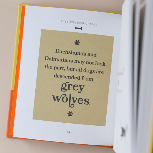 Inside Page of The Little Book of Dogs Displaying Quote