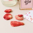 Dried Strawberry Garnishes From Build Your Own Gin and Tonic Gift Box